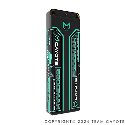 CAYOTE Racing 5300mAh 7.6V 2S 145C HV LiPo (5mm, 197g)
