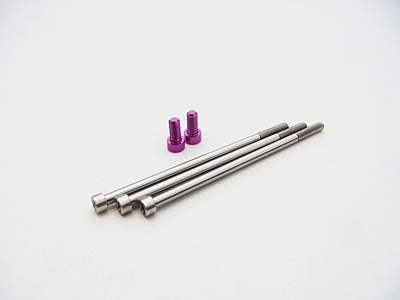 Hiro Seiko XeRun V10 G4 Titan/Aluminum Screw Set (Purple)