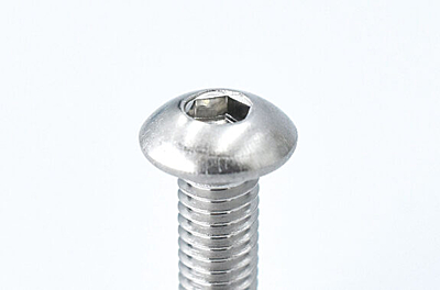 Reve D Stainless Steel BH Screw (M3×12mm, 10pcs)